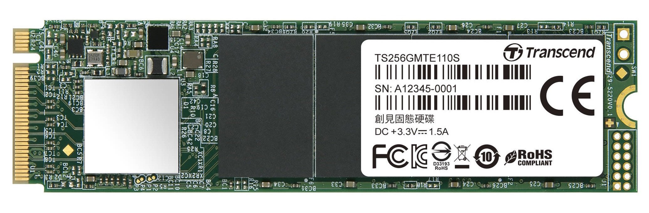

TRANSCEND TS256GMTE110S