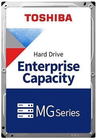 

TOSHIBA 256MB (MG06ACA600E), Cерый