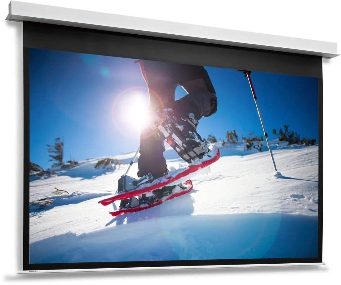 

PROJECTA DescenderPro 184x320 см, MW (10104769)