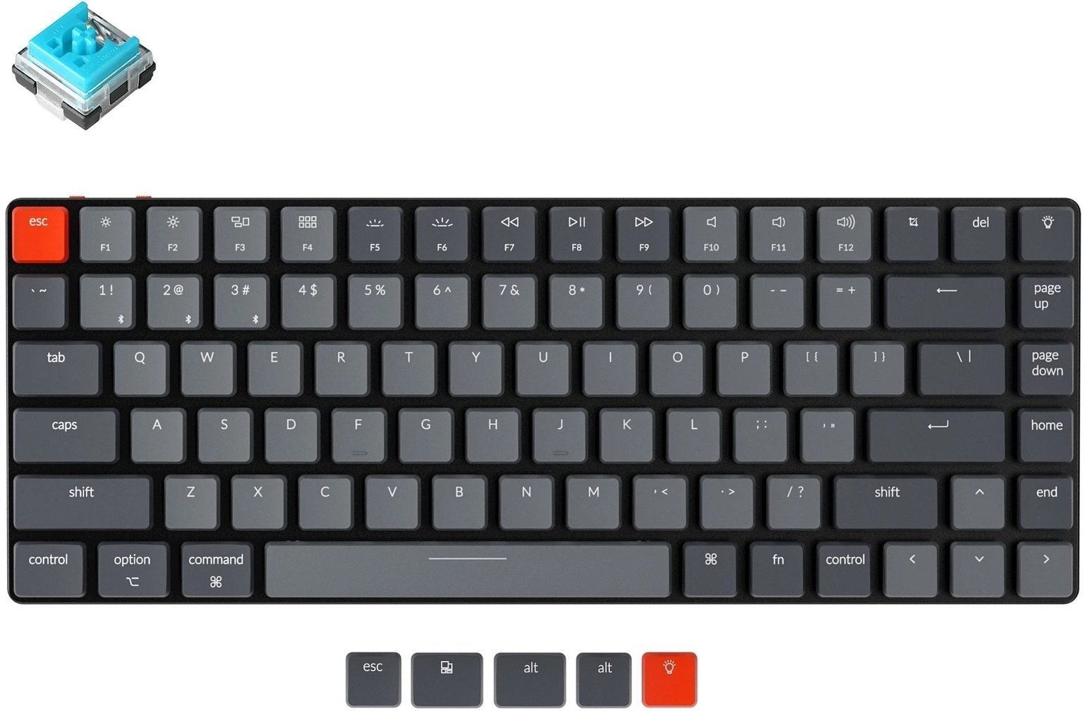 

KEYCHRON K3 84 keys, Low Profile Hot-Swap Optical White LED, Blue (K3D2_KEYCHRON), Чёрный