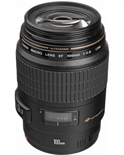 

CANON EF 100mm f/2.8 USM Macro