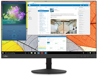 

LENOVO ThinkVision S24q-10 (61E7GAT1UA), Чёрный