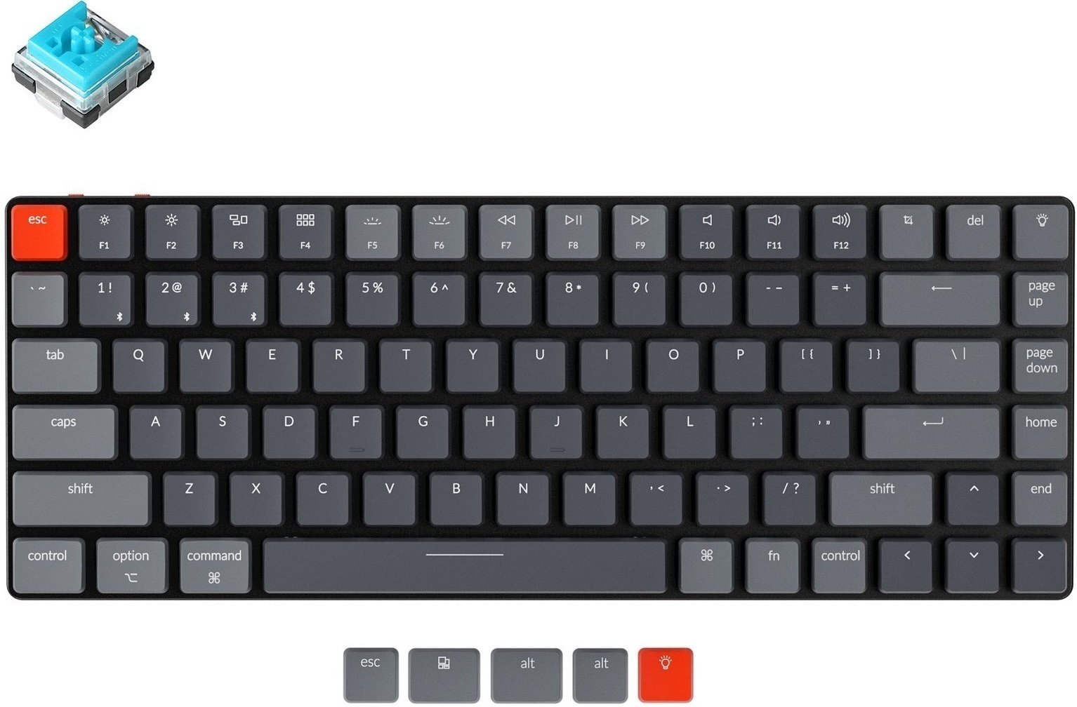 

KEYCHRON K3 84 keys, Low Profile Hot-Swap Optical RGB, Blue (K3E2_KEYCHRON), Чёрный