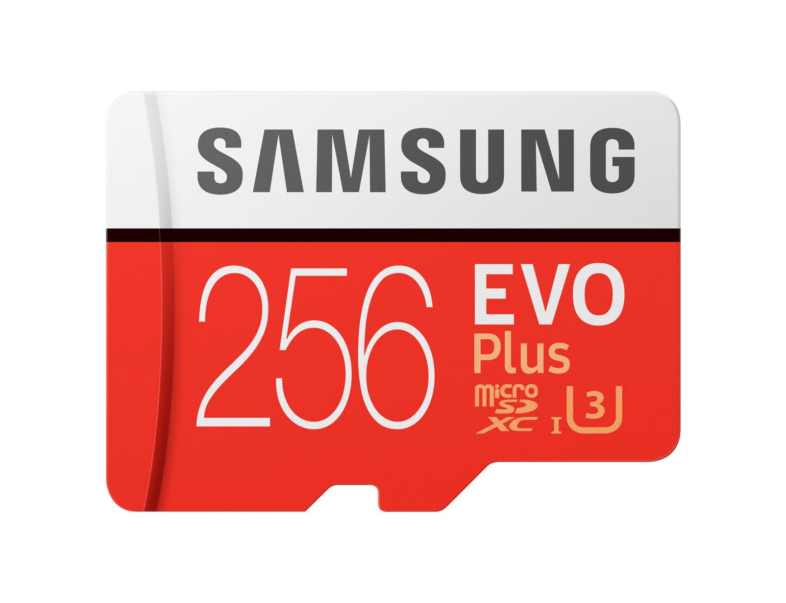 

SAMSUNG microSDXC 256GB (Class 10) EVO PLUS UHS-I (R100, W90MB/s) (MB-MC256GA/RU)