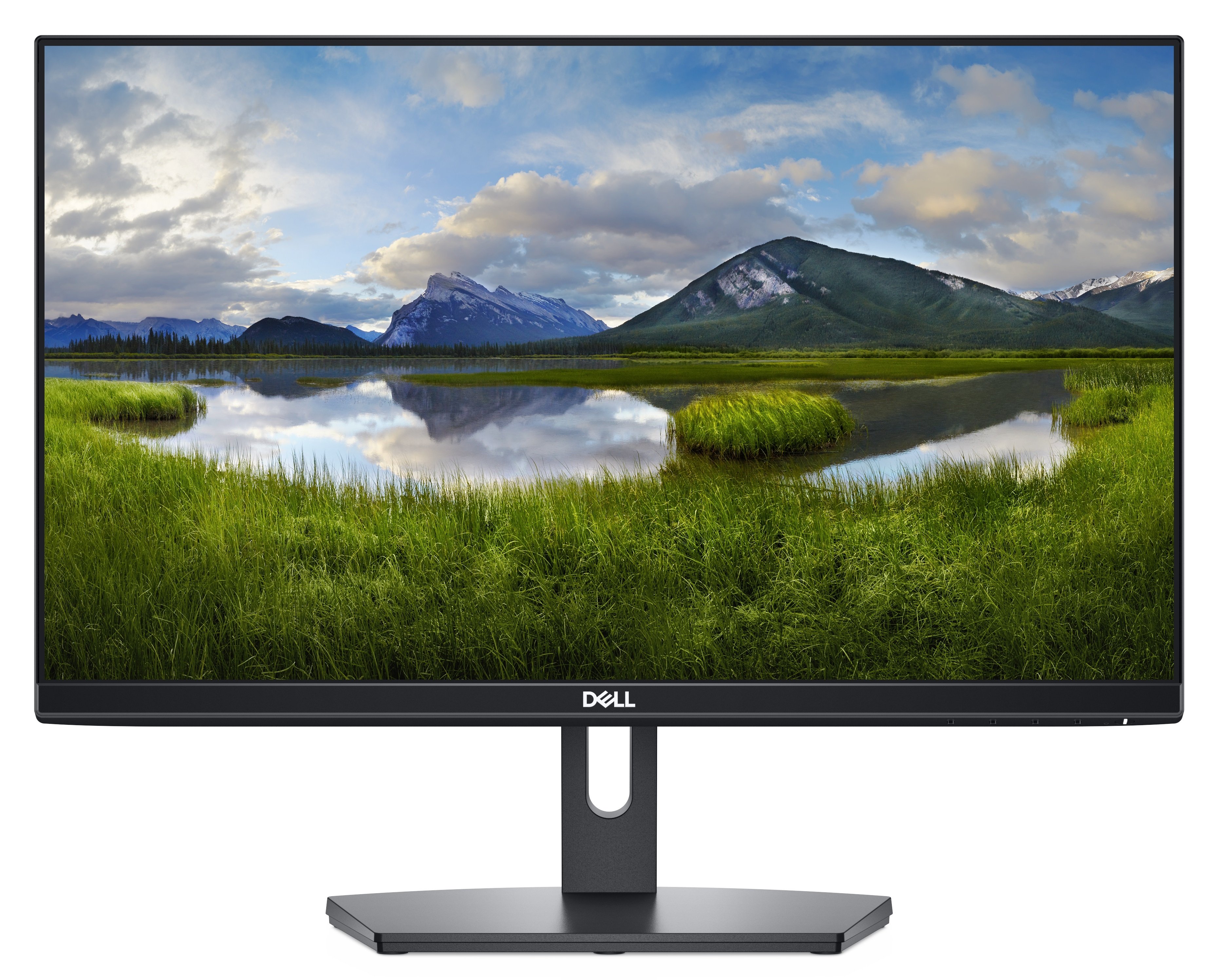 

DELL SE2219H (210-AQOL), Чёрный