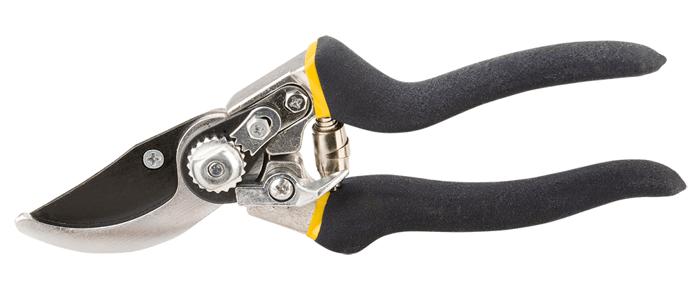 

TOPEX 204 (15A204)
