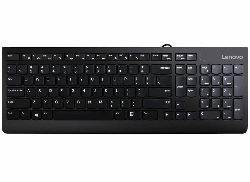 

LENOVO 300 USB (GX30M39684)