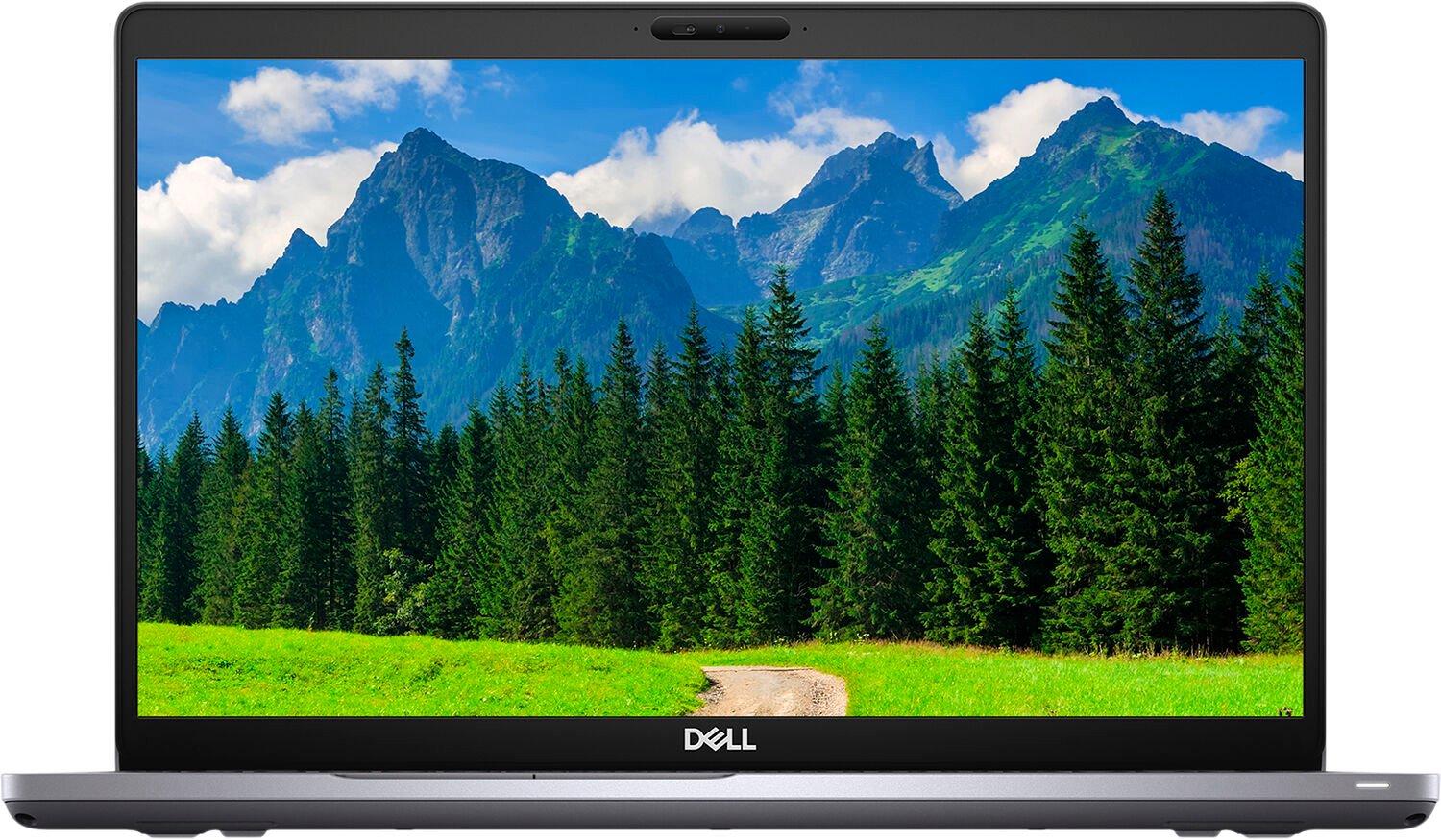 

DELL Latitude 5511 (N095L551115ERC_UBU, Cерый