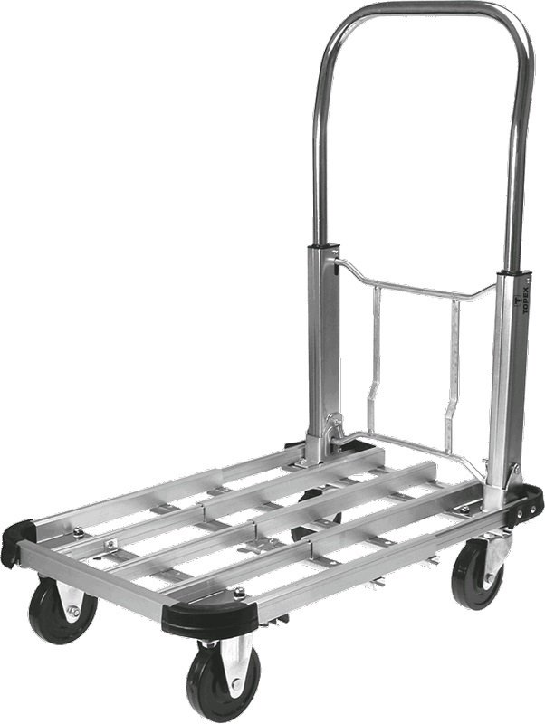 

TOPEX до 150 кг (79R300)
