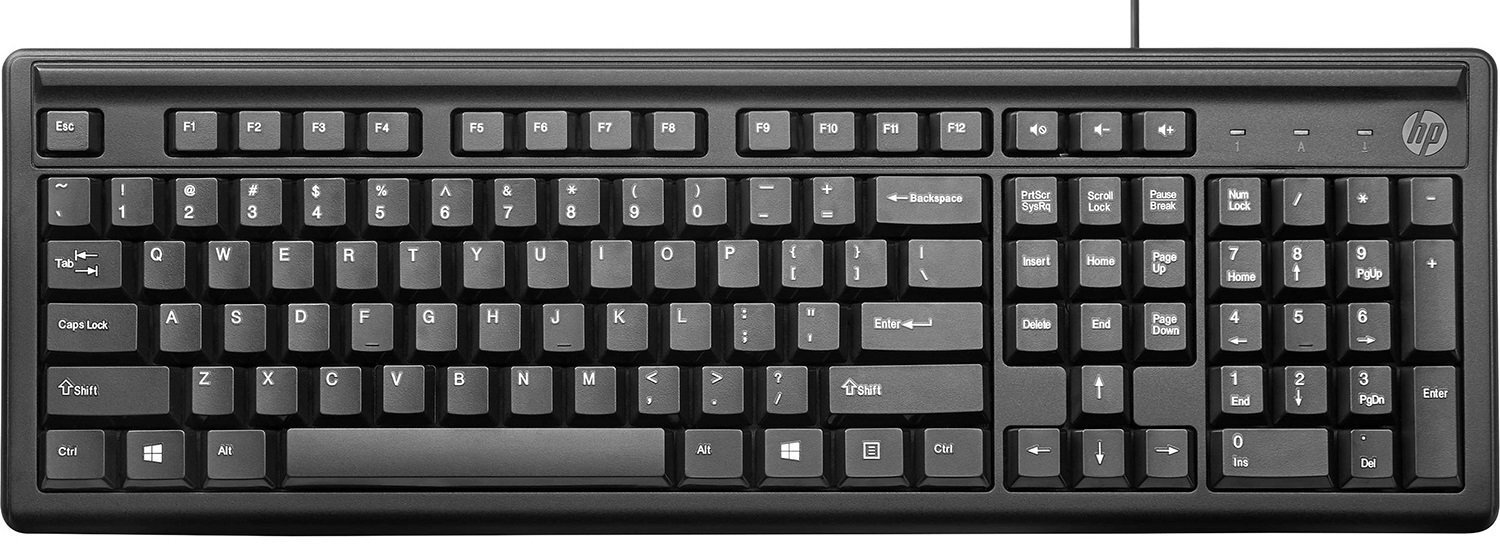 

HP 100 USB (2UN30AA), Чёрный