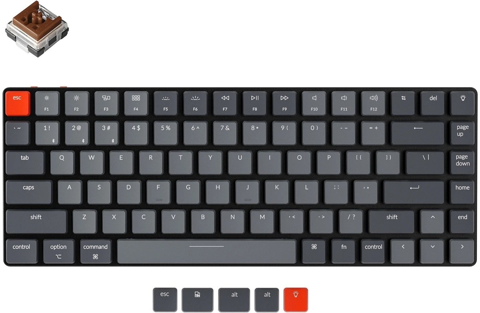 

KEYCHRON K3 84 keys, Low Profile Hot-Swap Optical White LED, Brown (K3D3_KEYCHRON)
