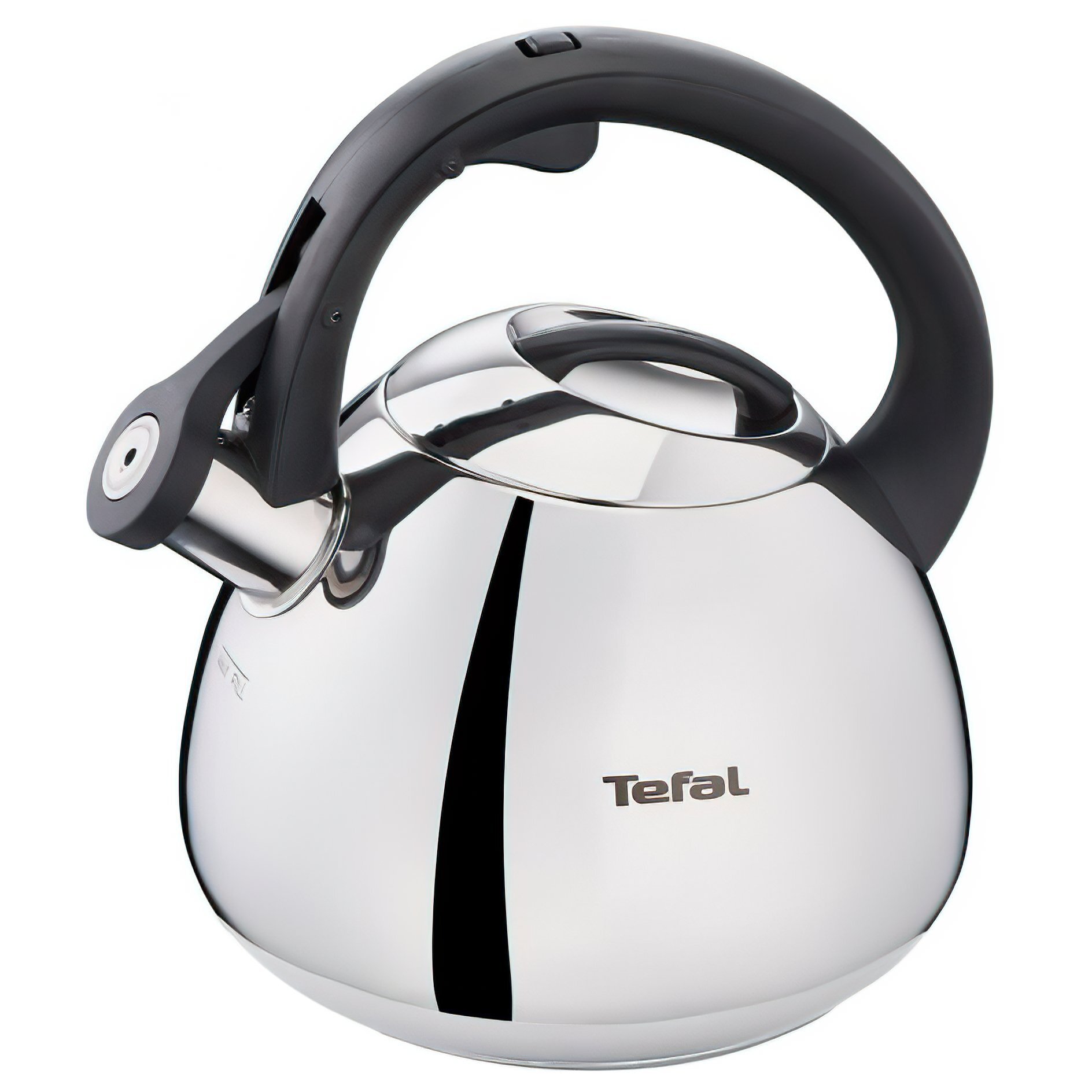 

TEFAL K2481574, Нержавеющая сталь