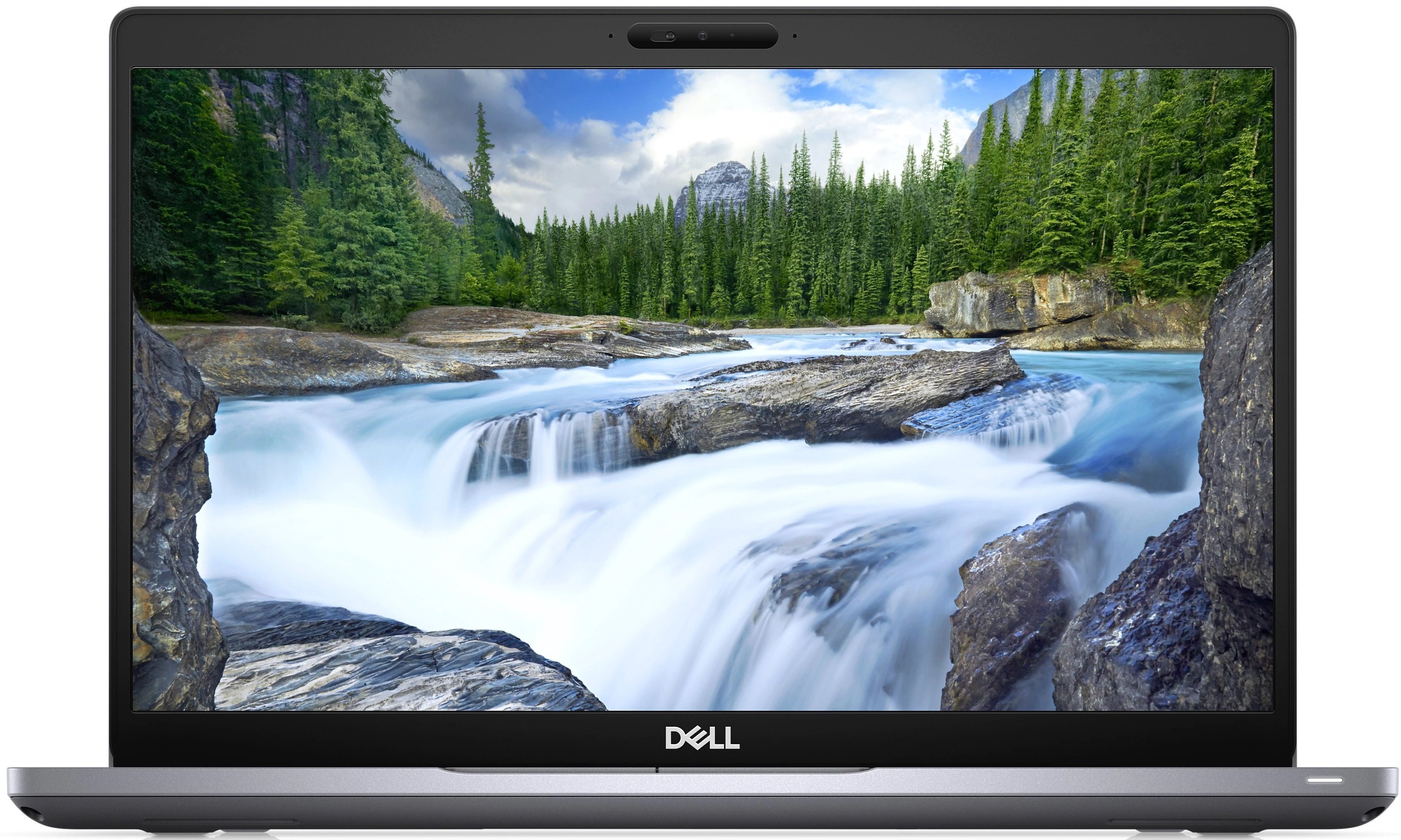 

DELL Latitude 5411 (N001L541114UA_UBU), Серебристый