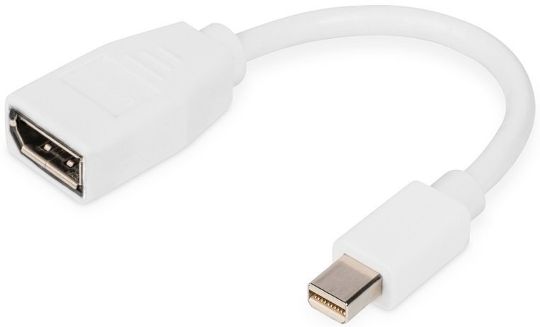 

DIGITUS mini DP - DP, M/F, 0.15m, white (DB-340405-001-W), Белый