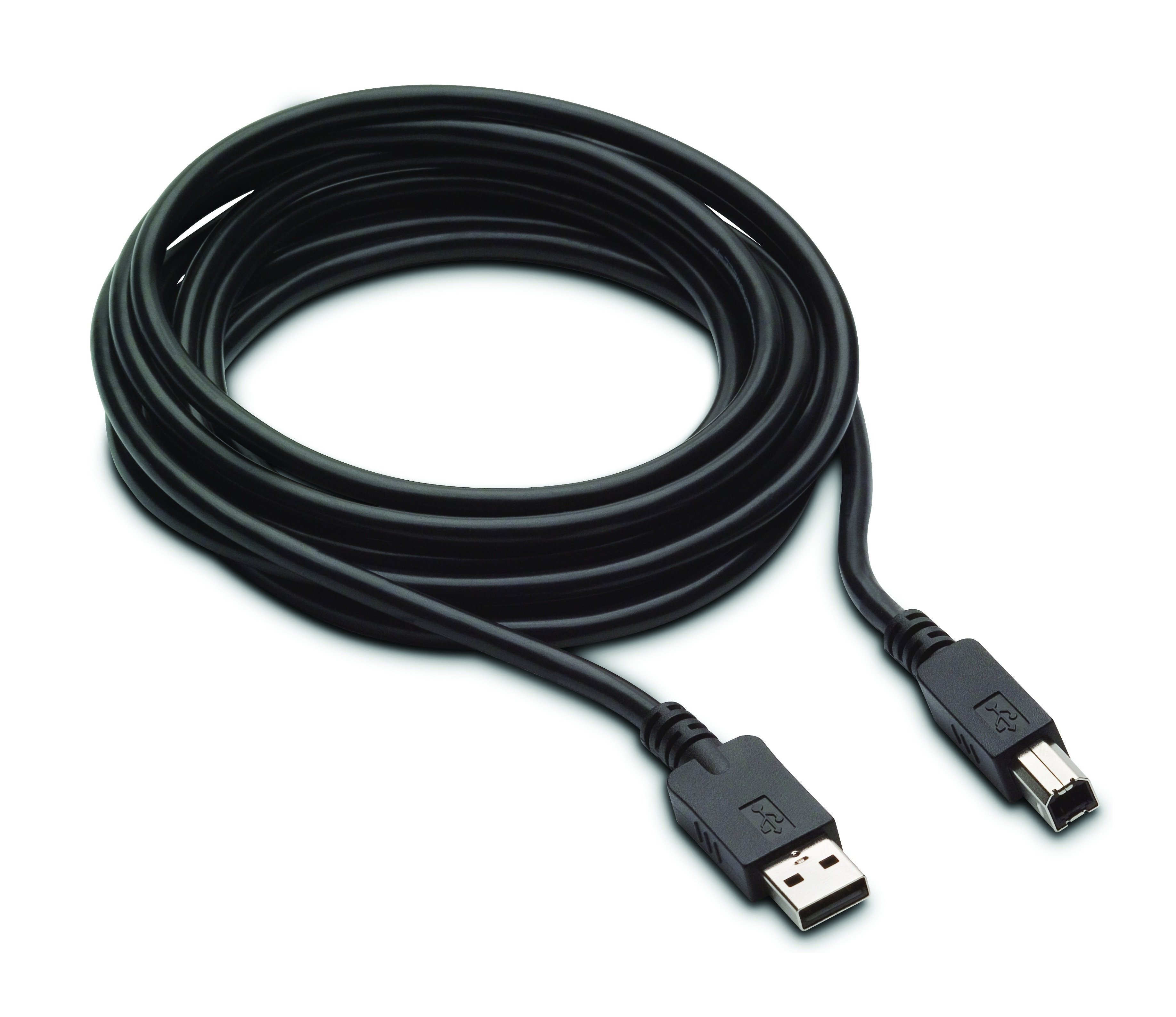 

HP 300cm DP and USB B to A Cable for L7016t (V4P96AA)