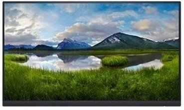 

DELL P2222HWOS (210-BBBF) Без подставки, Чёрный