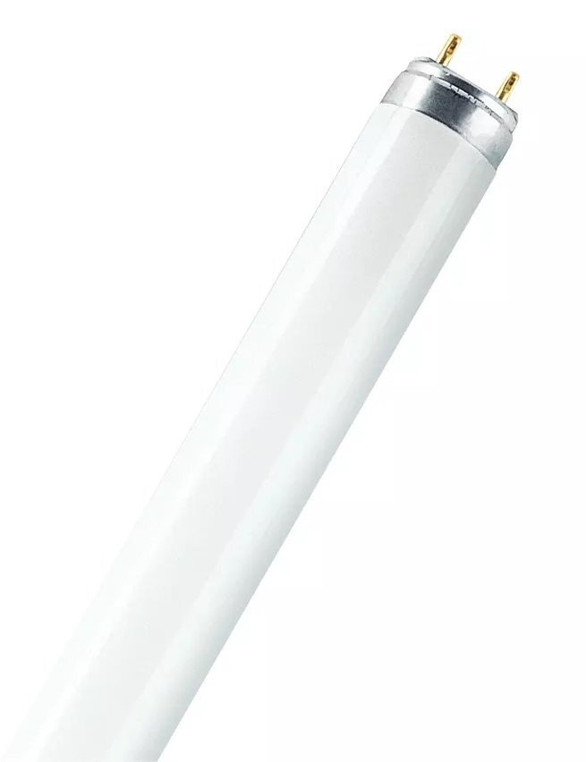 

OSRAM LEDVANCE FLUORA L Т8 36W/77 G13/1200мм/1400Lm (4050300003184)