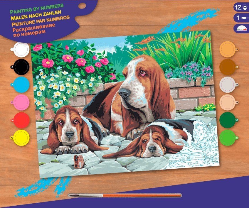 

Sequin Art PAINTING BY NUMBERS SENIOR Basset Hounds (SA0044)