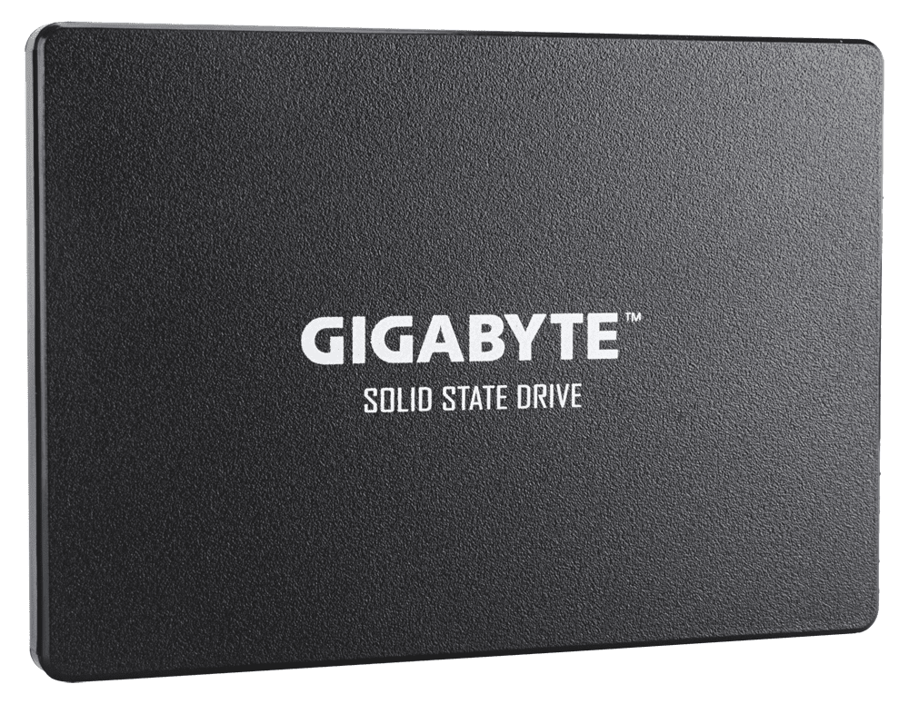 

GIGABYTE GP-GSTFS31100TNTD